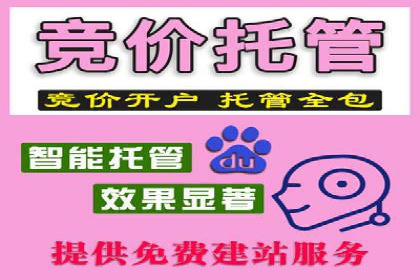 百度竞价广告的投放策略与成功案例分析